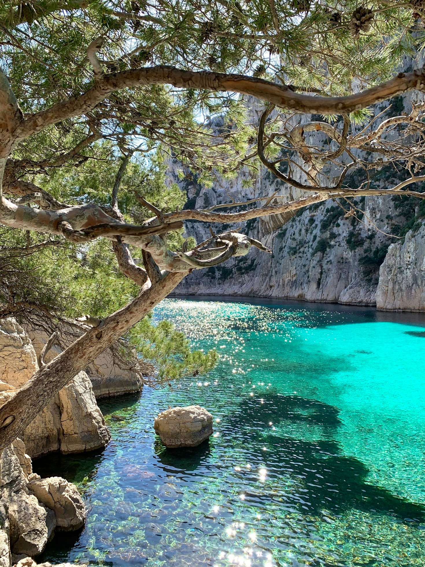 Η Καινοτομία Της Τεχνητής Νοημοσύνης Στο Ταξίδι